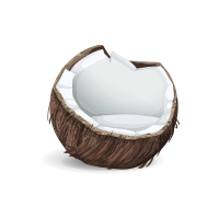 Noix de coco râpée - Être Végétarien